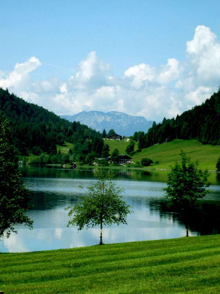 Bergsee mit Wiese und einzelnem Baum