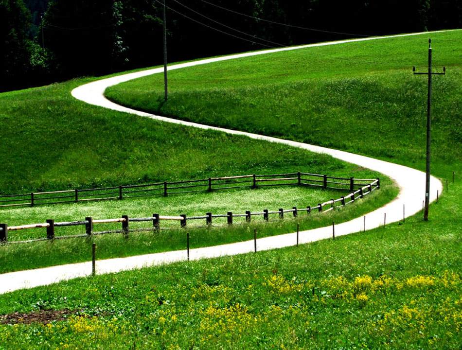 Geschwungener Weg über eine Frühlingswiese