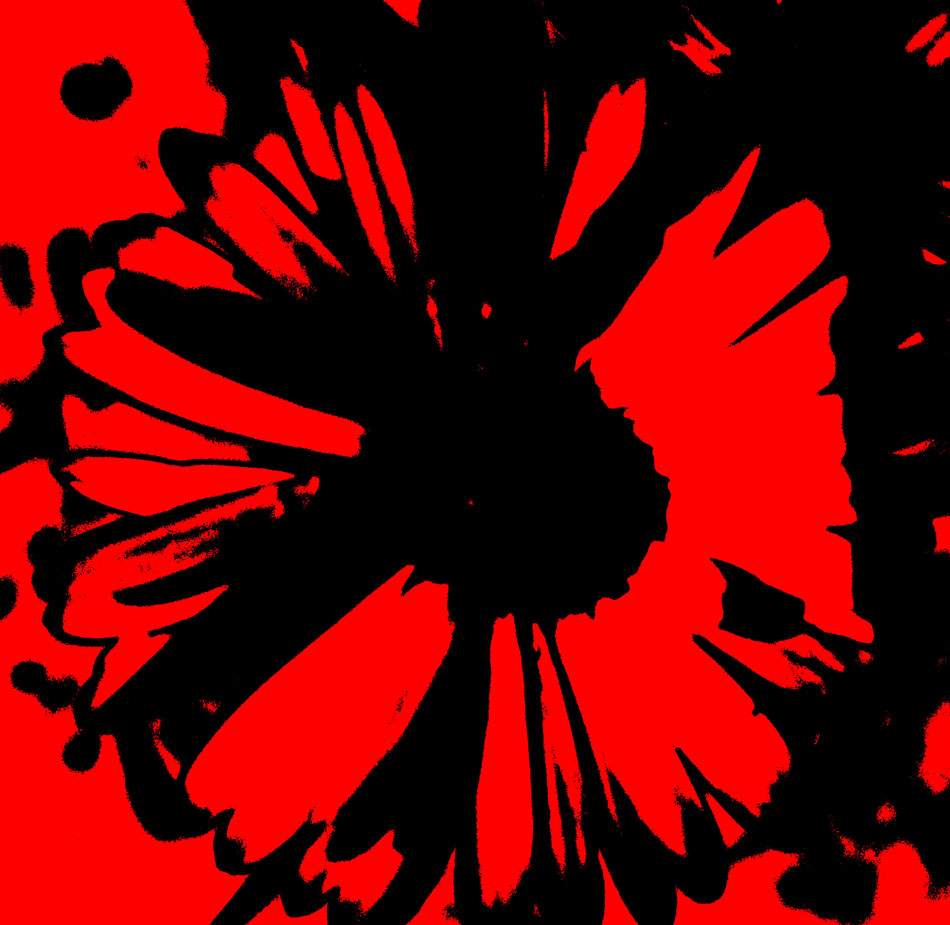 Blüte in Rot und Schwarz, grafisch reduziert