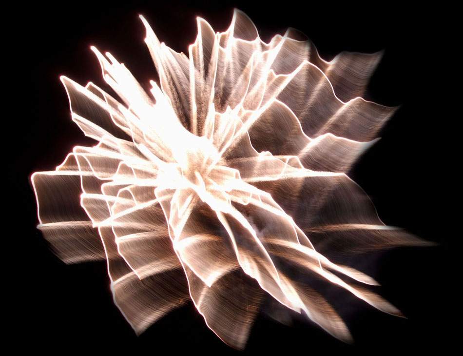 Weiße Lichtblüte auf schwarzem Grund
