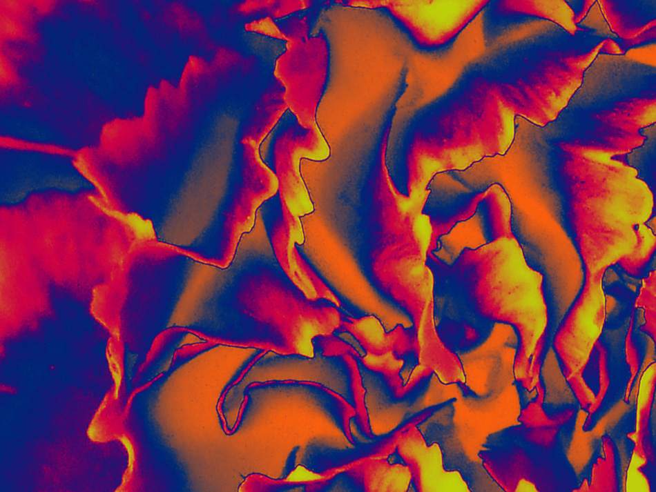 Abstrakter Farbwirbel in Magenta und Orange